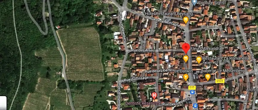 Livraison fleurs à Châtenois