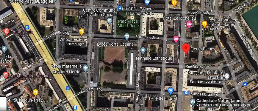 Fleurs Bleues à Le Havre