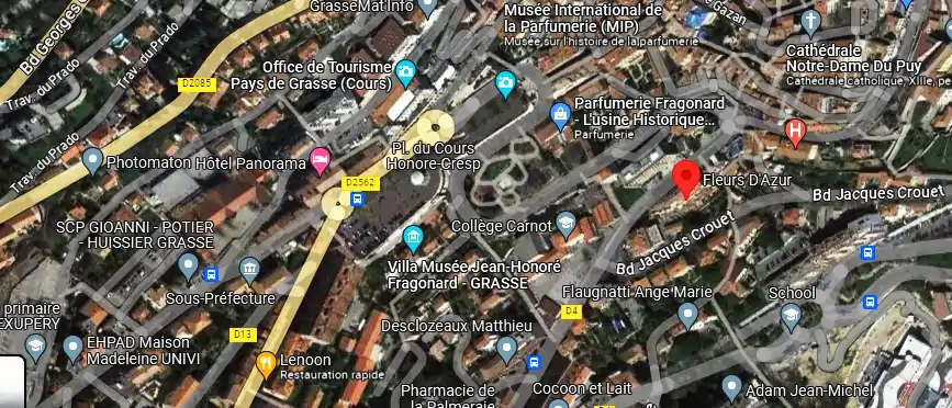 Livraison fleurs à Grasse