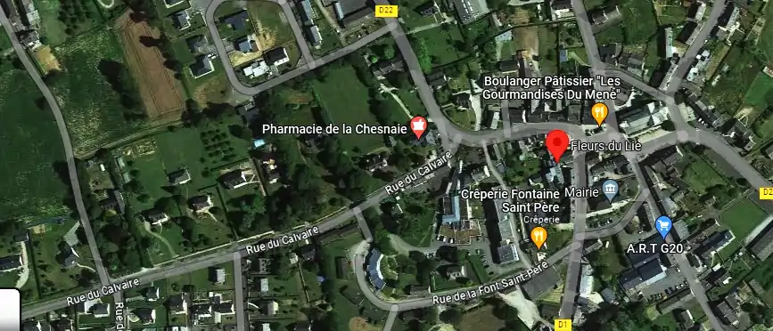 Livraison fleurs à Le Mené