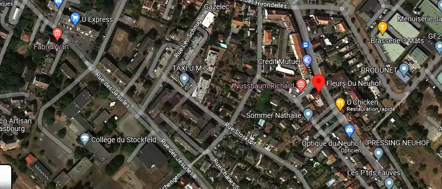 Livraison fleurs à Strasbourg