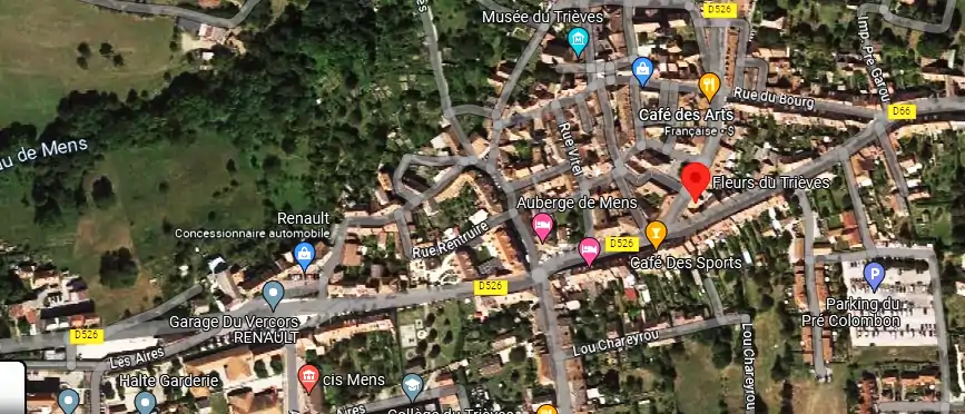 Livraison fleurs à Mens