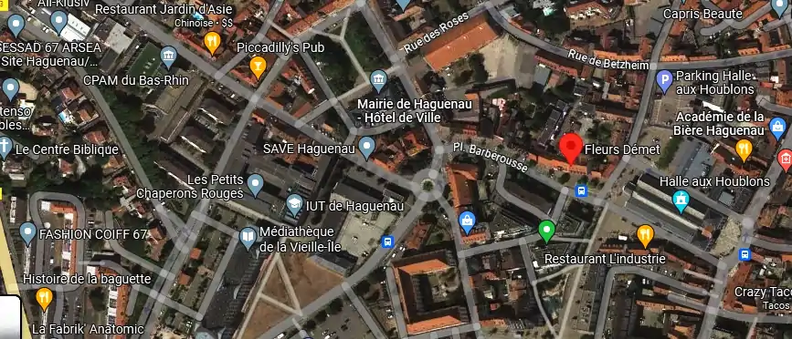 Livraison fleurs à Haguenau