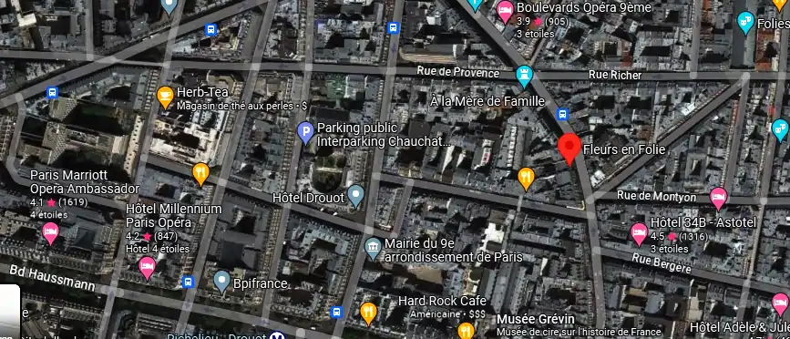 Livraison fleurs à Paris