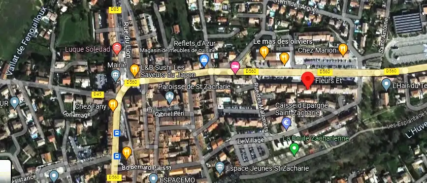 Livraison fleurs à Saint-Zacharie