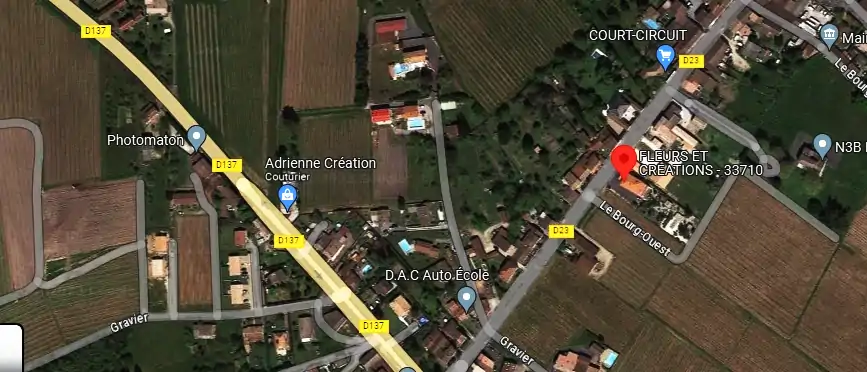 Livraison fleurs à Pugnac