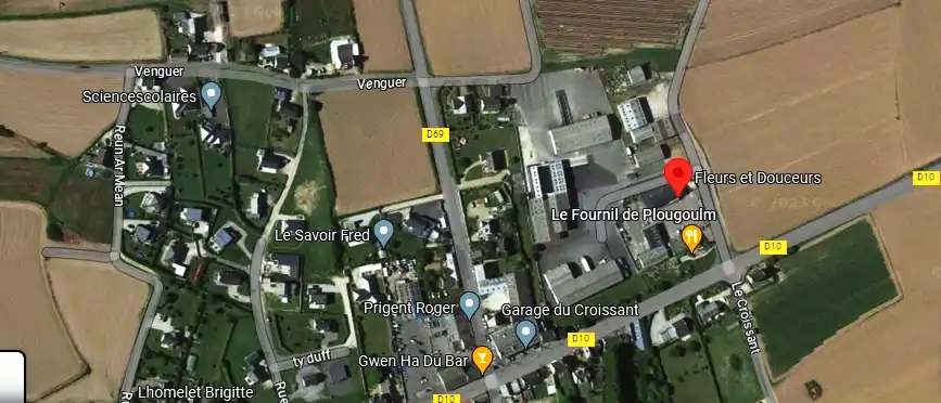 Livraison fleurs à Plougoulm