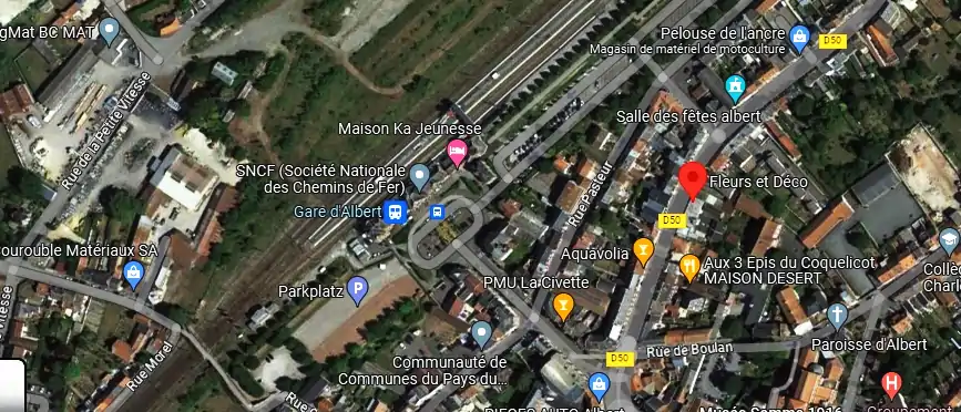 Livraison fleurs à Albert