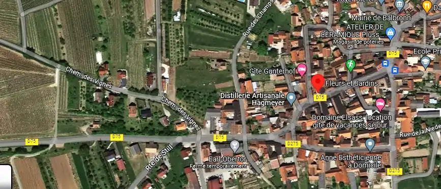 Livraison fleurs à Balbronn