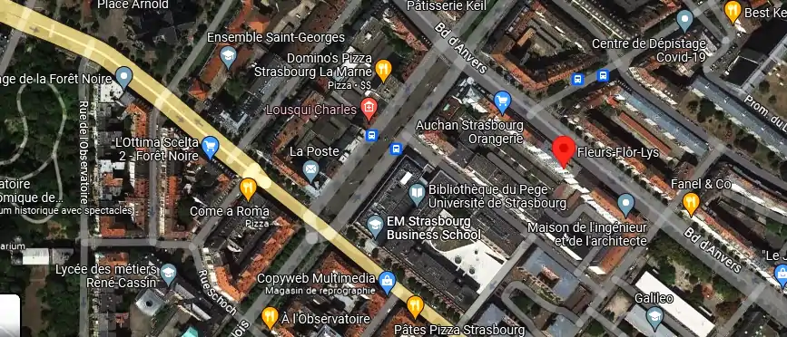 Livraison fleurs à Strasbourg