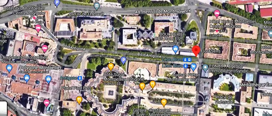 Livraison fleurs à Montpellier