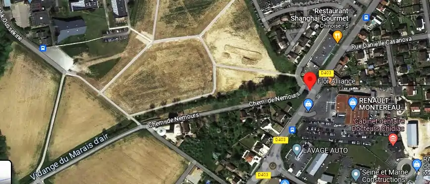 Livraison fleurs à Varennes-sur-Seine