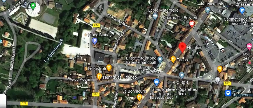 Livraison fleurs à Chasseneuil-sur-Bonnieure