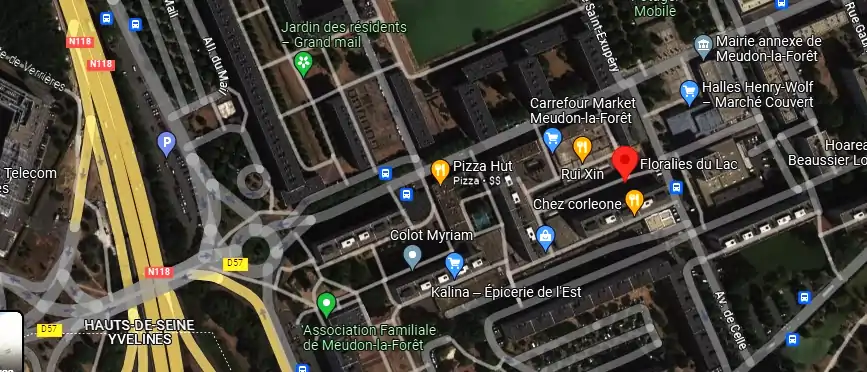 Livraison fleurs à Meudon