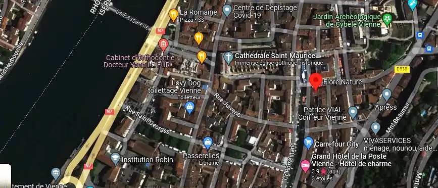 Livraison fleurs à Vienne