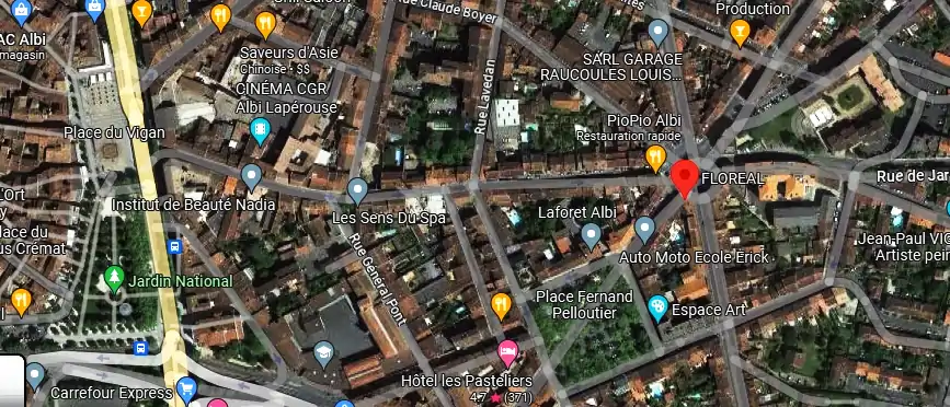Livraison fleurs à Albi