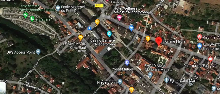 Livraison fleurs à Niederbronn-les-Bains