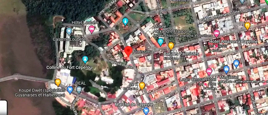 Livraison fleurs à 10 Rue Louis Blanc, Cayenne 97300, Guyane française