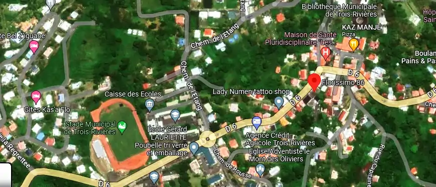 Livraison fleurs à 10 place du Marché, Trois-Rivières 97114, Guadeloupe