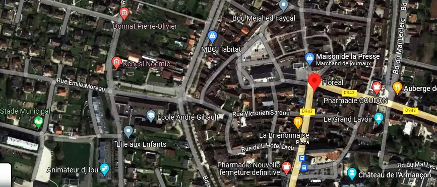 Livraison fleurs à Brienon-sur-Armançon