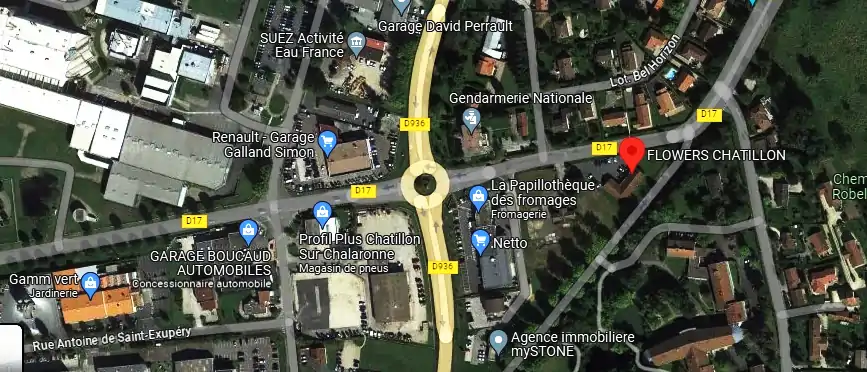 Livraison fleurs à Châtillon-sur-Chalaronne