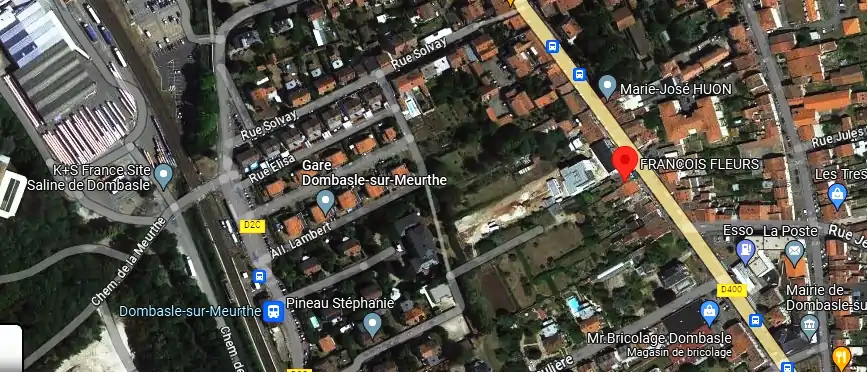 Livraison fleurs à Dombasle-sur-Meurthe