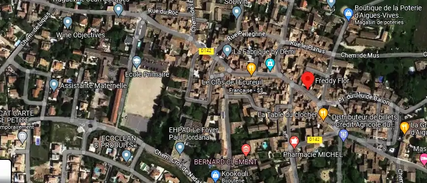 Livraison fleurs à Aigues-Vives