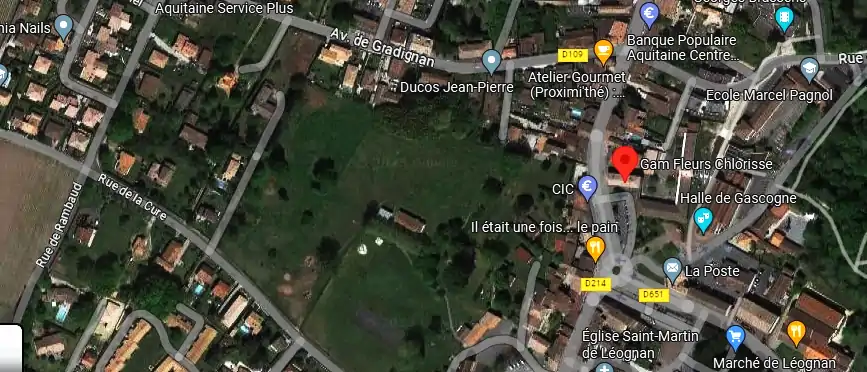 Livraison fleurs à Léognan