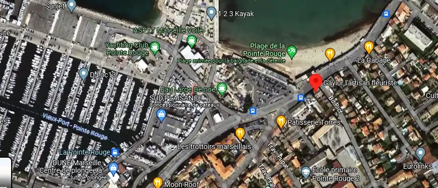 Livraison fleurs à Marseille