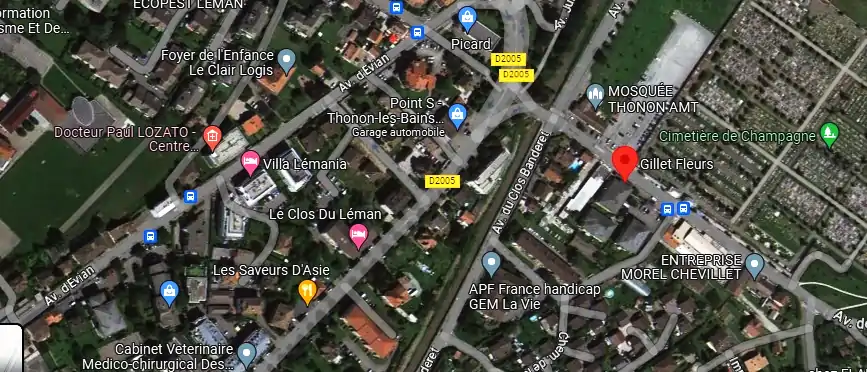 Livraison fleurs à Thonon-les-Bains