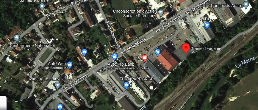 Livraison fleurs à Joinville