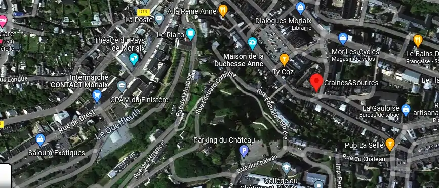Livraison fleurs à Morlaix