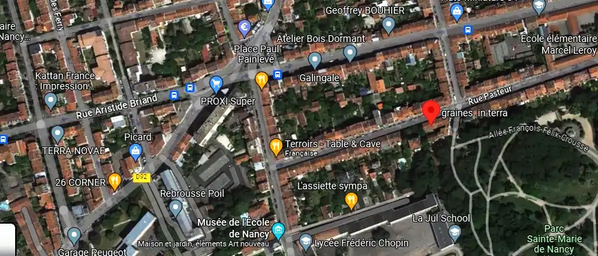 Livraison fleurs à Nancy