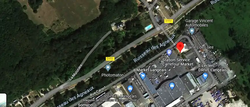 Livraison fleurs à Langeais