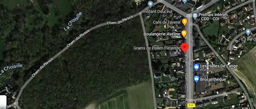 Livraison fleurs à Chanceaux-sur-Choisille