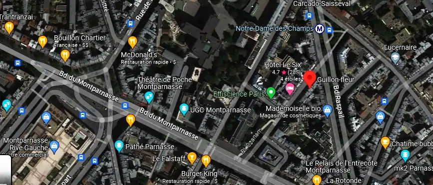 Livraison fleurs à Paris