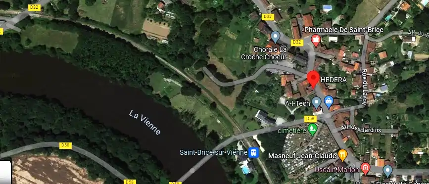 Livraison fleurs à Saint-Brice-sur-Vienne
