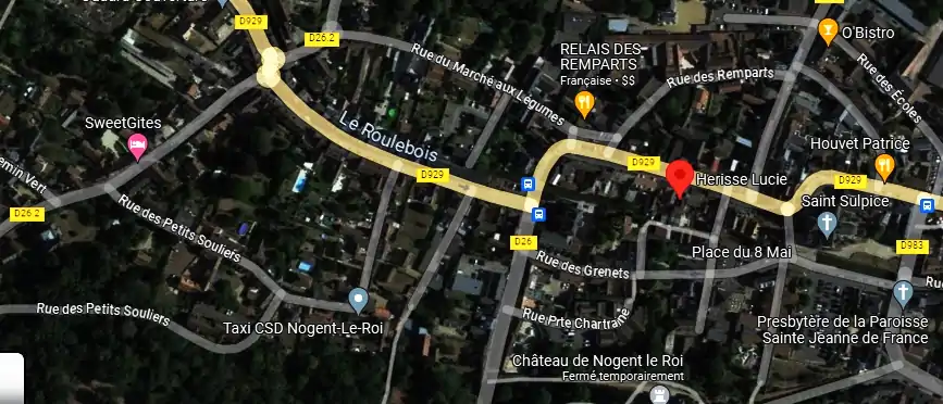 Livraison fleurs à Nogent-le-Roi