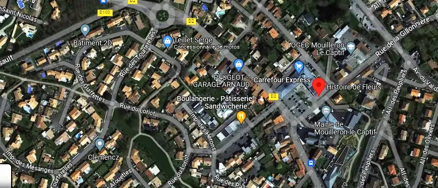Livraison fleurs à Mouilleron-le-Captif