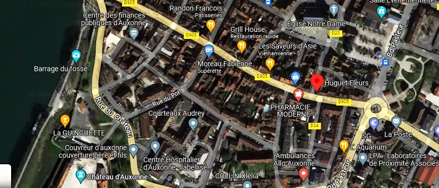 Livraison fleurs à Auxonne