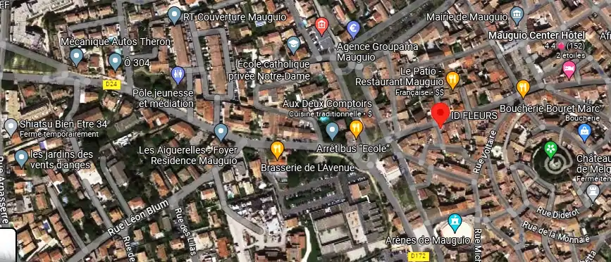Livraison fleurs à Mauguio