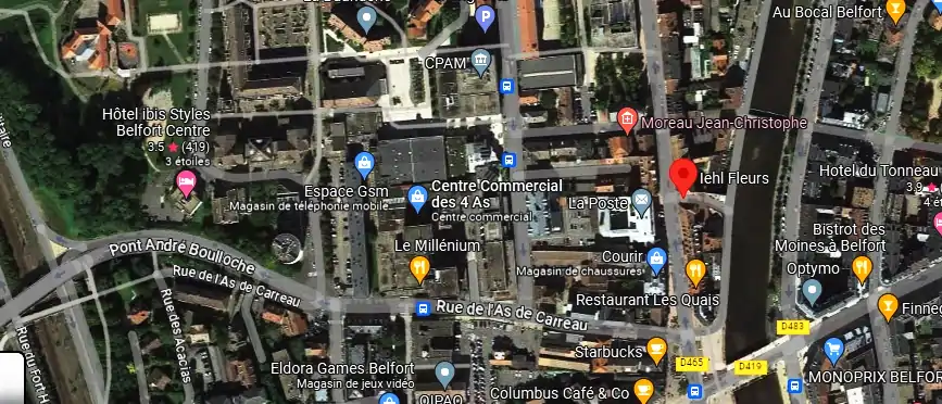 Livraison fleurs à Belfort