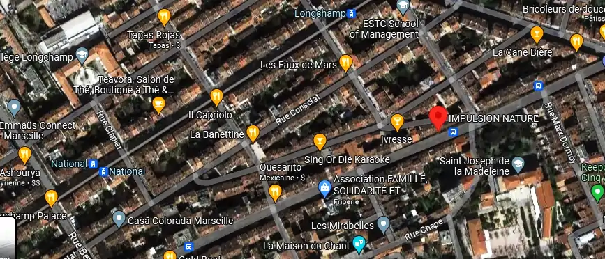 Livraison fleurs à Marseille