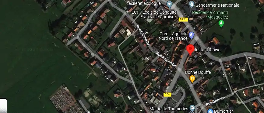 Livraison fleurs à Thumeries