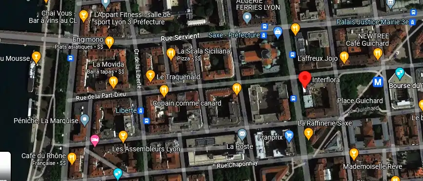 Livraison fleurs à Lyon
