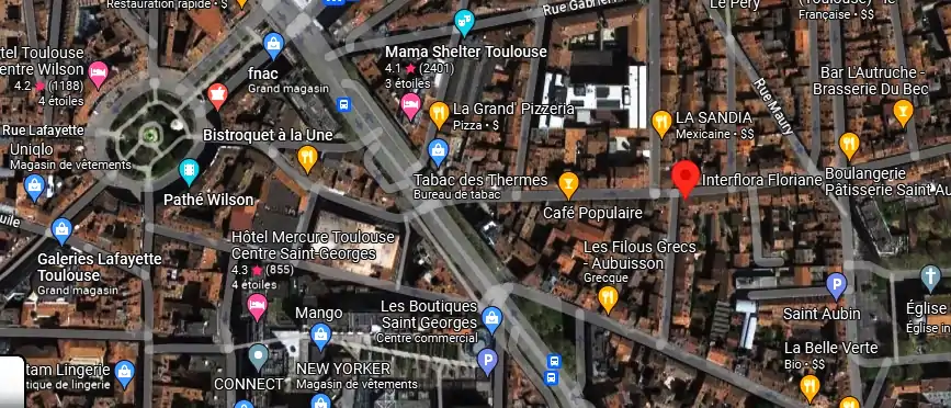 Livraison fleurs à Toulouse