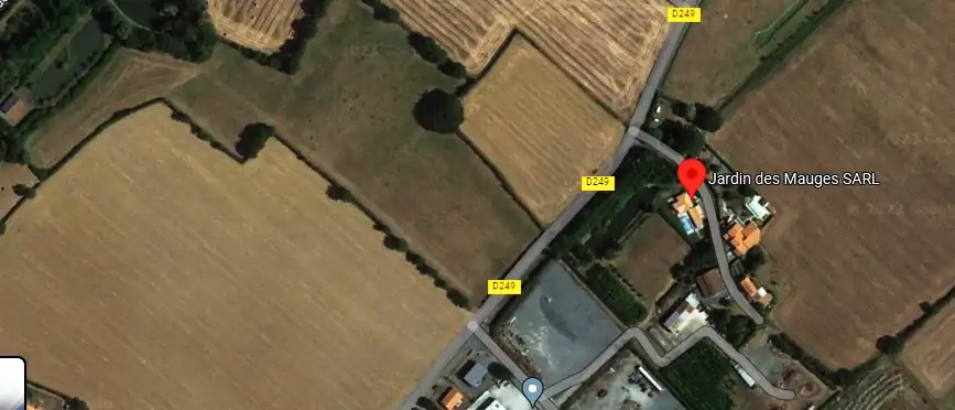 Livraison fleurs à Beaupréau-en-Mauges