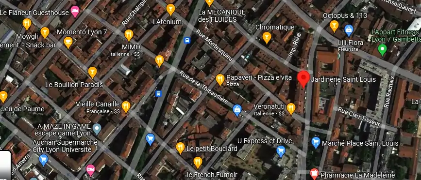 Livraison fleurs à Lyon