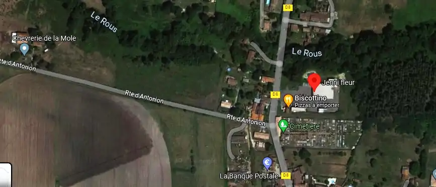 Livraison fleurs à Noaillan