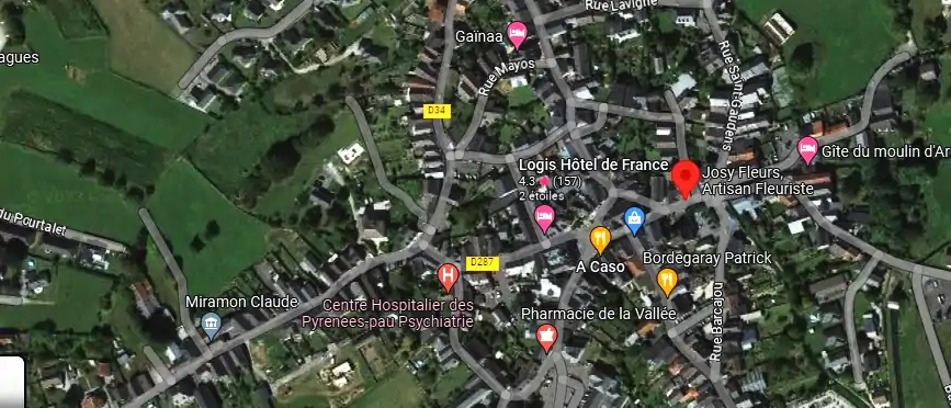 Livraison fleurs à Arudy